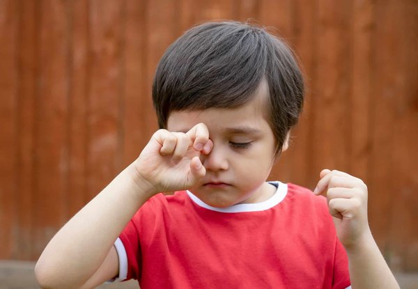 Quali sono i segnali di una possibile allergia al polline in un cane di razza Golden Retriever?